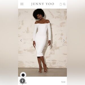 NWT Jenny Yoo Dress